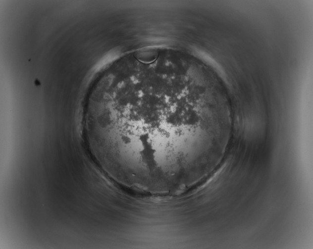 X0000088181411200705221633