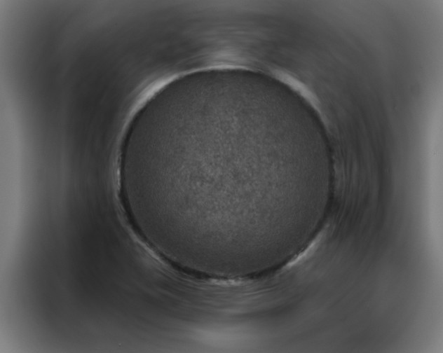 X0000088181415200705221633