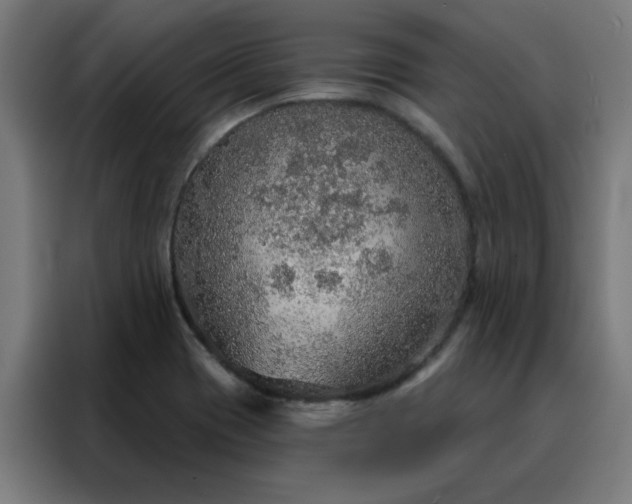 X0000088181417200705221633
