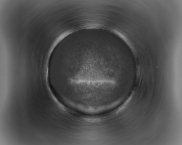 X0000088181418200705221633