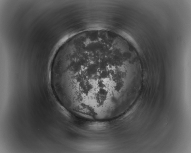 X0000088181419200705221633