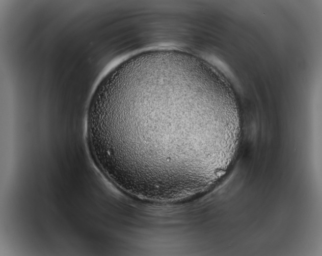 X0000088181420200705221633