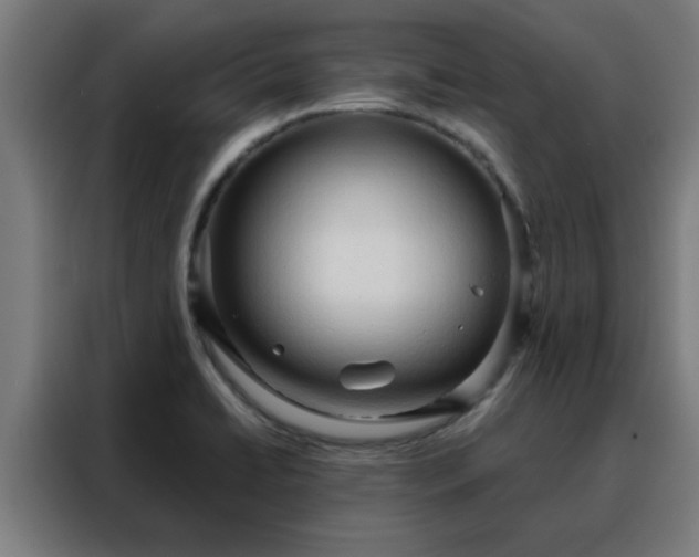 X0000088181422200705221633