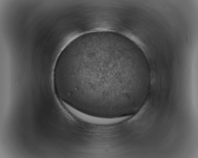 X0000088181423200705221633