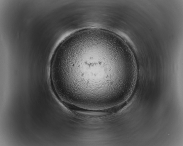 X0000088181424200705221633