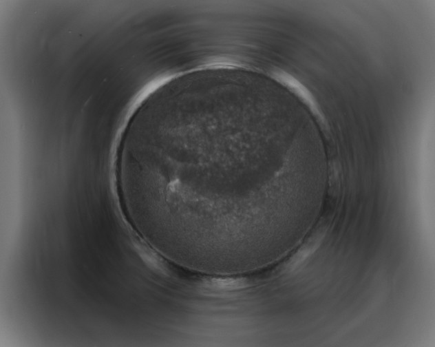 X0000088181427200705221633