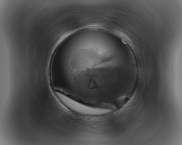 X0000088181428200705221633