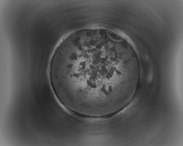 X0000088181429200705221633