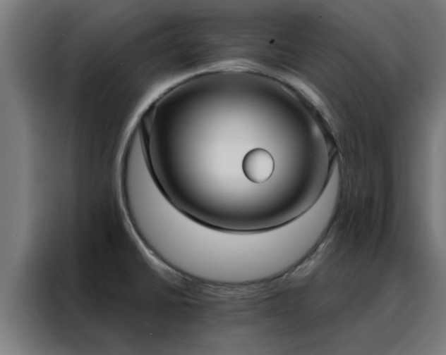 X0000088181430200705221633