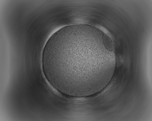 X0000088181431200705221633