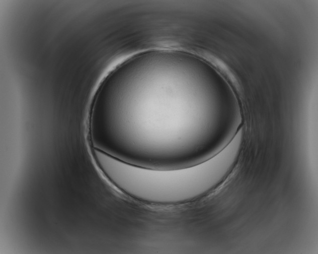 X0000088181432200705221633
