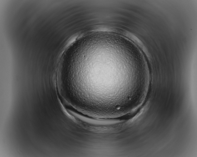 X0000088181433200705221633