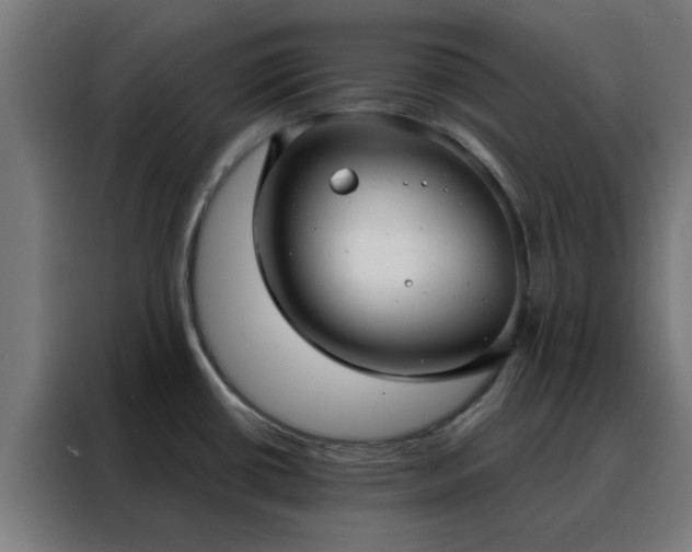 X0000088181434200705221633