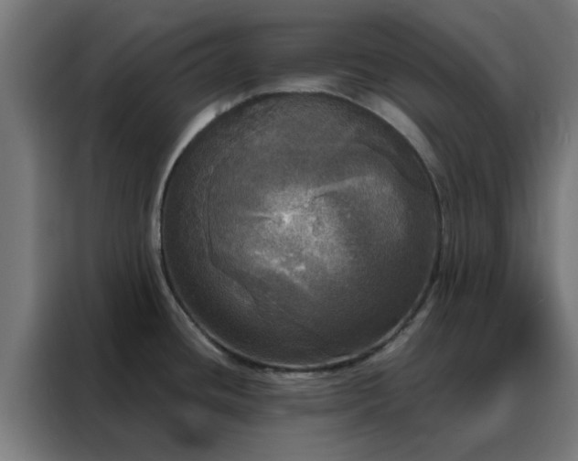 X0000088181436200705221633