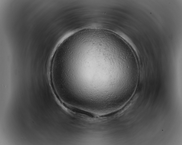 X0000088181437200705221633