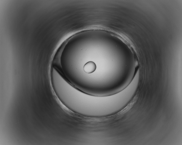 X0000088181438200705221633