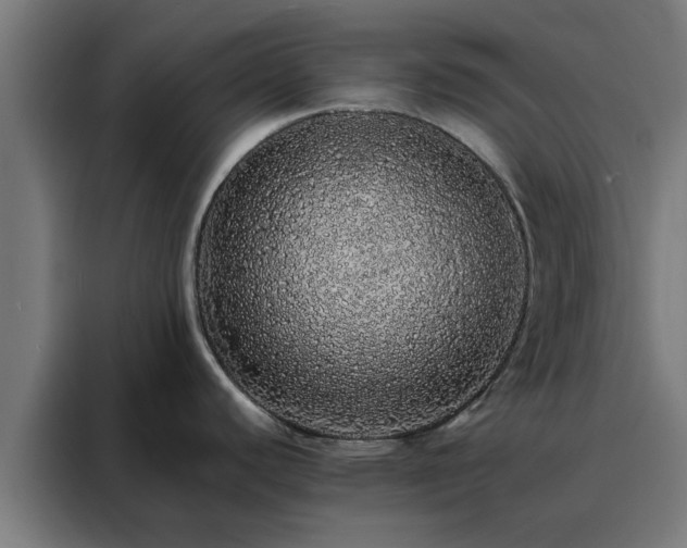 X0000088181440200705221633