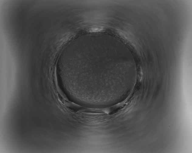X0000088181441200705221633