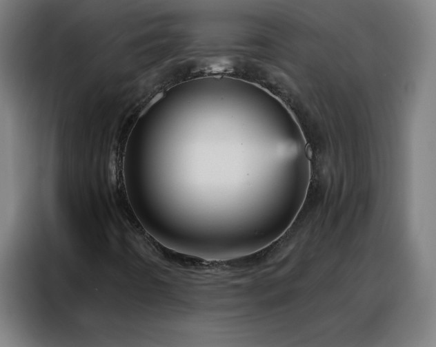 X0000088181442200705221632
