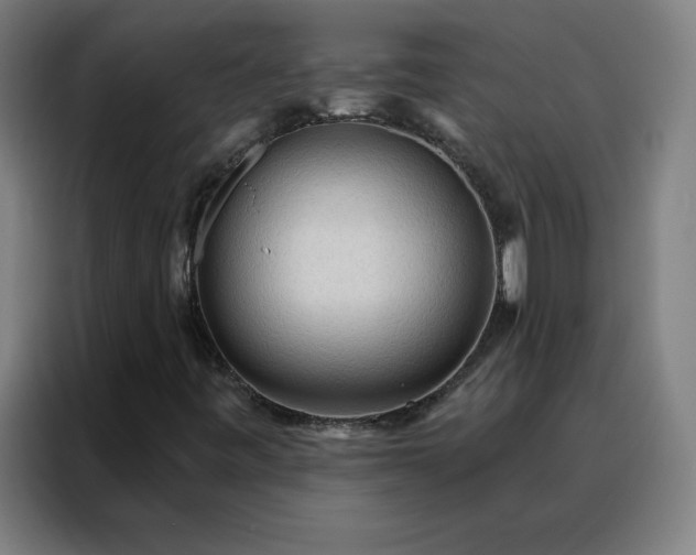 X0000088181443200705221632