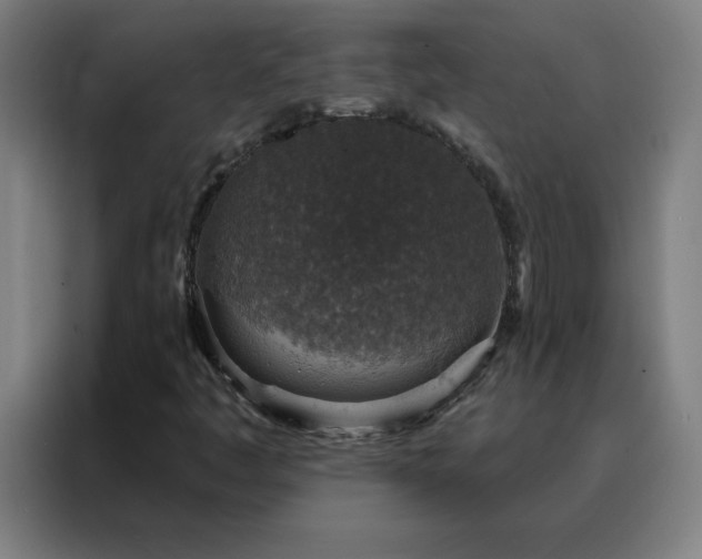 X0000088181445200705221632
