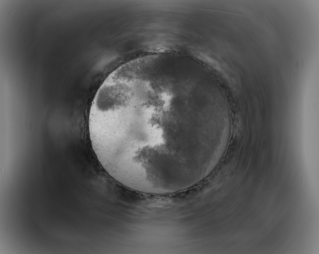 X0000088181446200705221632