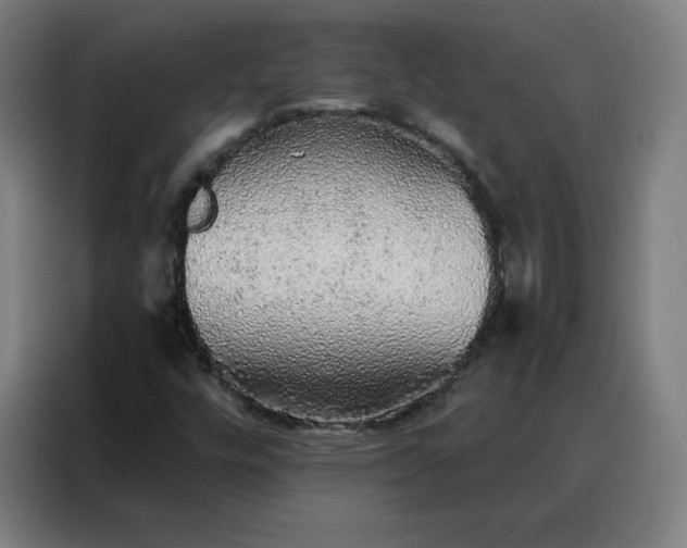 X0000088181448200705221632