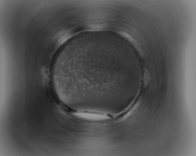 X0000088181449200705221632