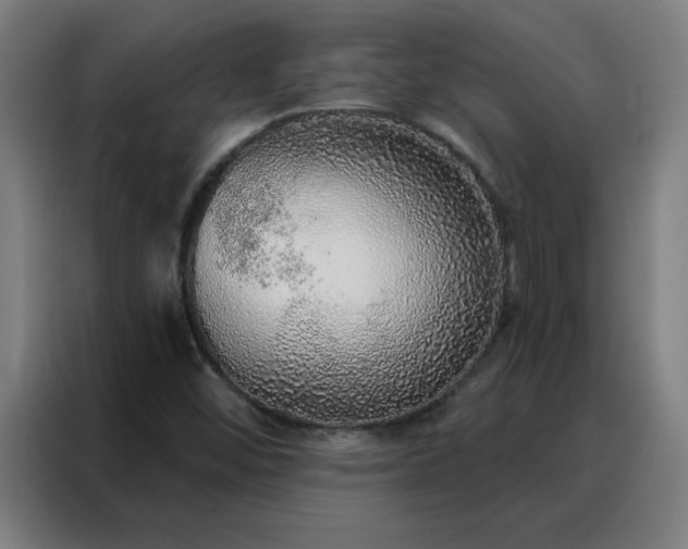 X0000088181452200705221632