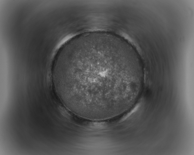 X0000088181453200705221632