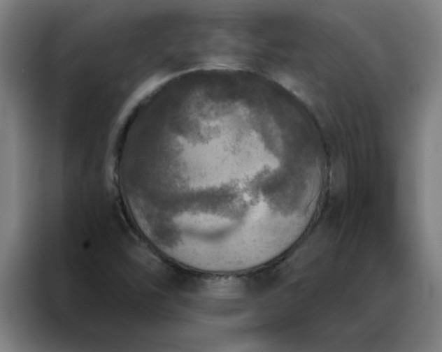 X0000088181454200705221632