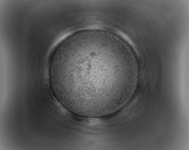 X0000088181456200705221632