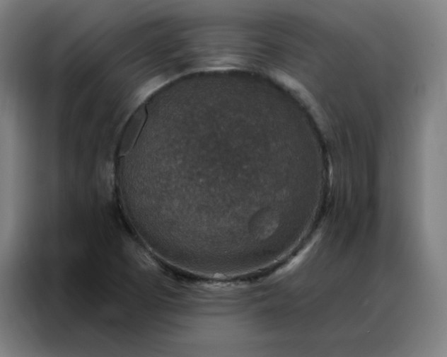 X0000088181457200705221632