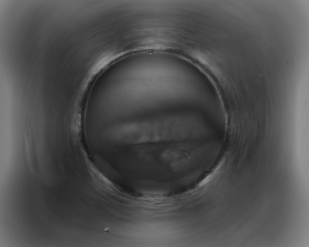 X0000088181459200705221632