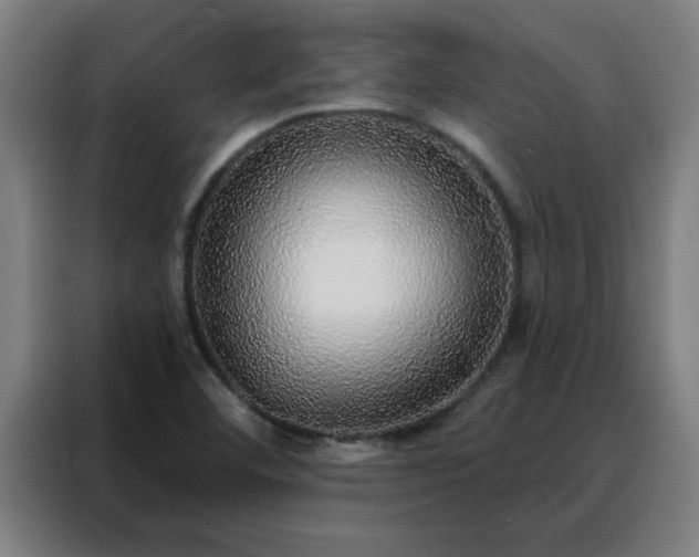 X0000088181460200705221632