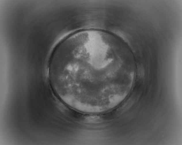 X0000088181462200705221632