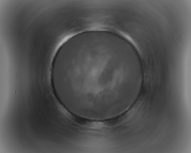 X0000088181463200705221632