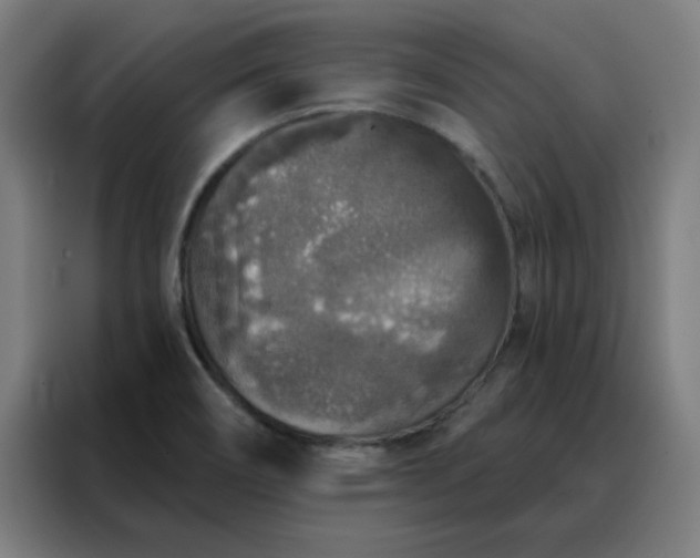 X0000088181466200705221632