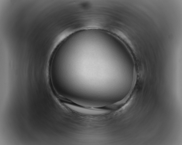 X0000088181469200705221632