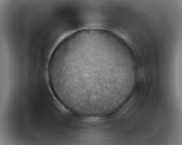 X0000088181470200705221632