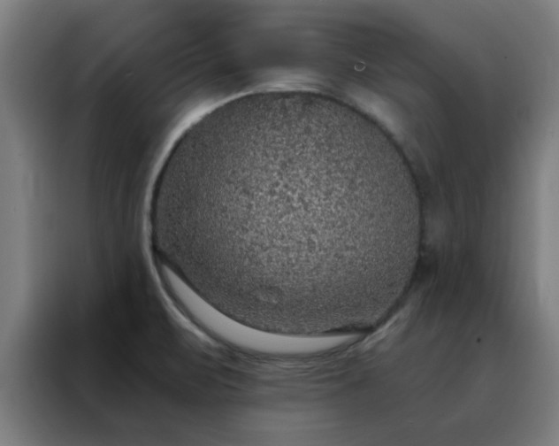 X0000088181471200705221632