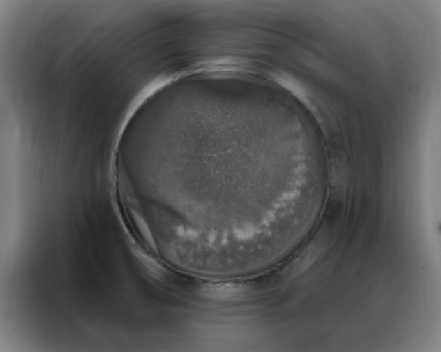 X0000088181474200705221632