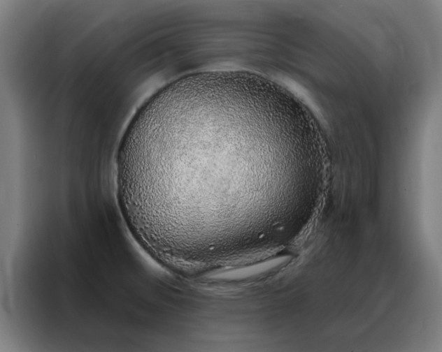 X0000088181476200705221632