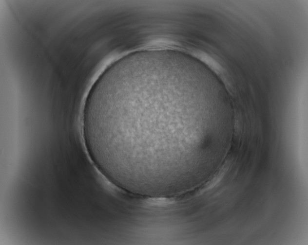 X0000088181478200705221632