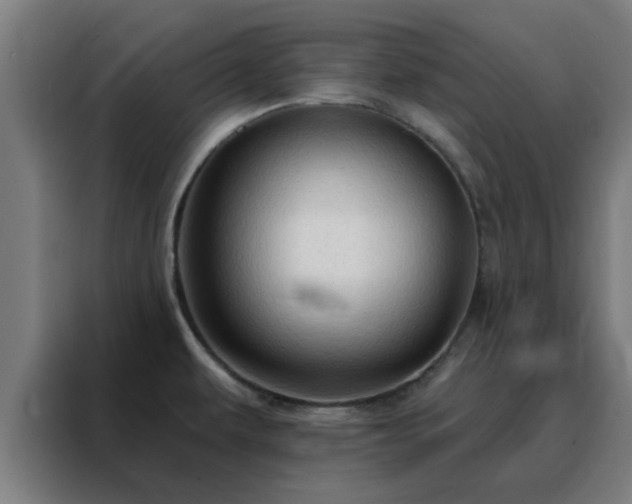 X0000088181479200705221632