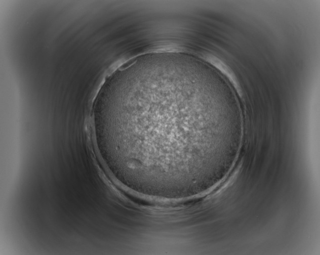 X0000088181481200705221632