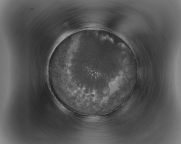 X0000088181482200705221632