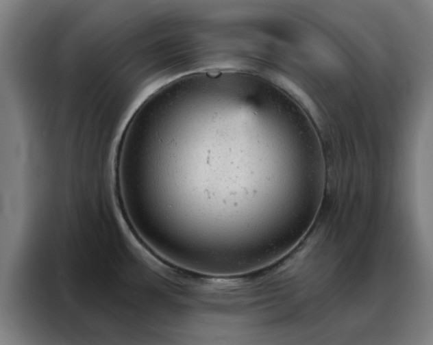 X0000088181483200705221632