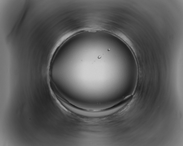 X0000088181485200705221632