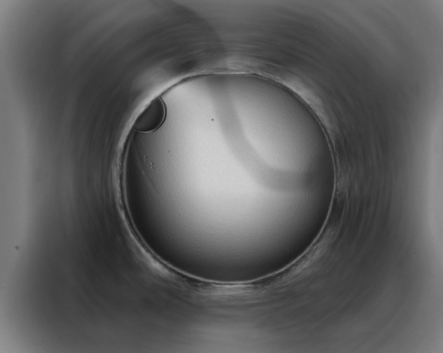 X0000088181486200705221632